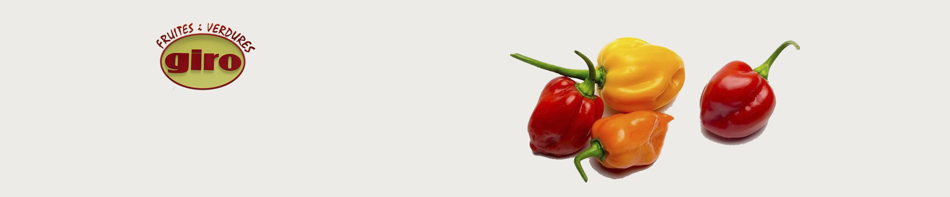 verduras-a-domicilio-1