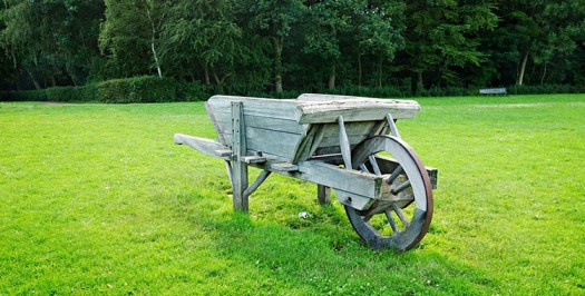 fruta ecologica a domicilio