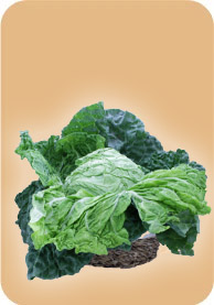 Verduras Bio-Eco