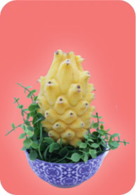 Frutas Tropicales y Exóticas